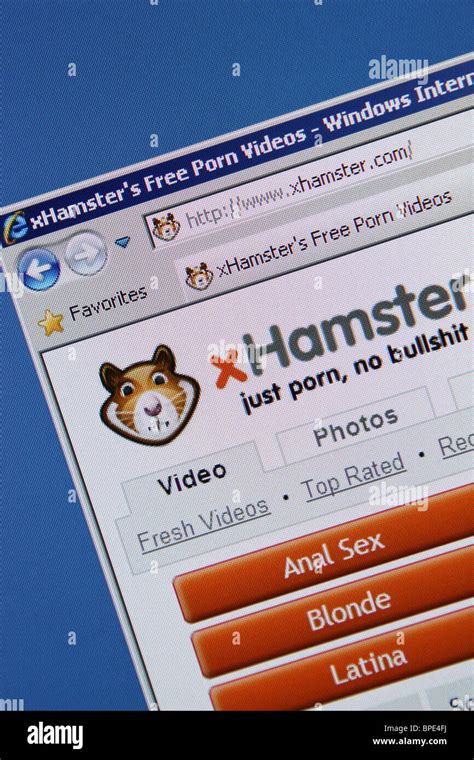 hamster porn|X Hamster Porn Videos .